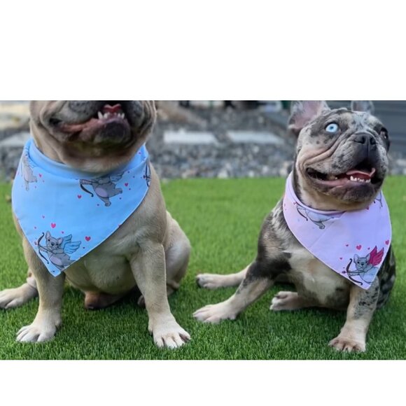 Reversible Dog Bandana Set  M - Picture 11 of 12
